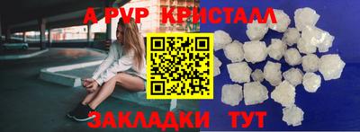 спиды Сланцы