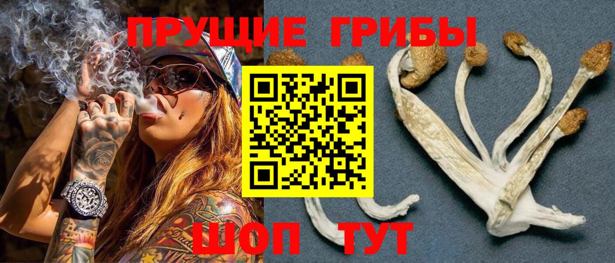 Псилоцибиновые грибы MAGIC MUSHROOMS Отрадный
