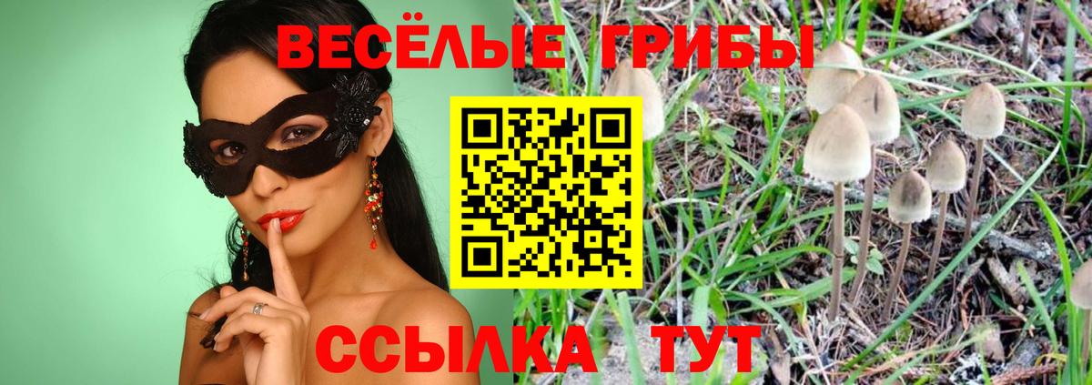 Галлюциногенные грибы ЛСД  Вход с VPN  закладки  Отрадный 