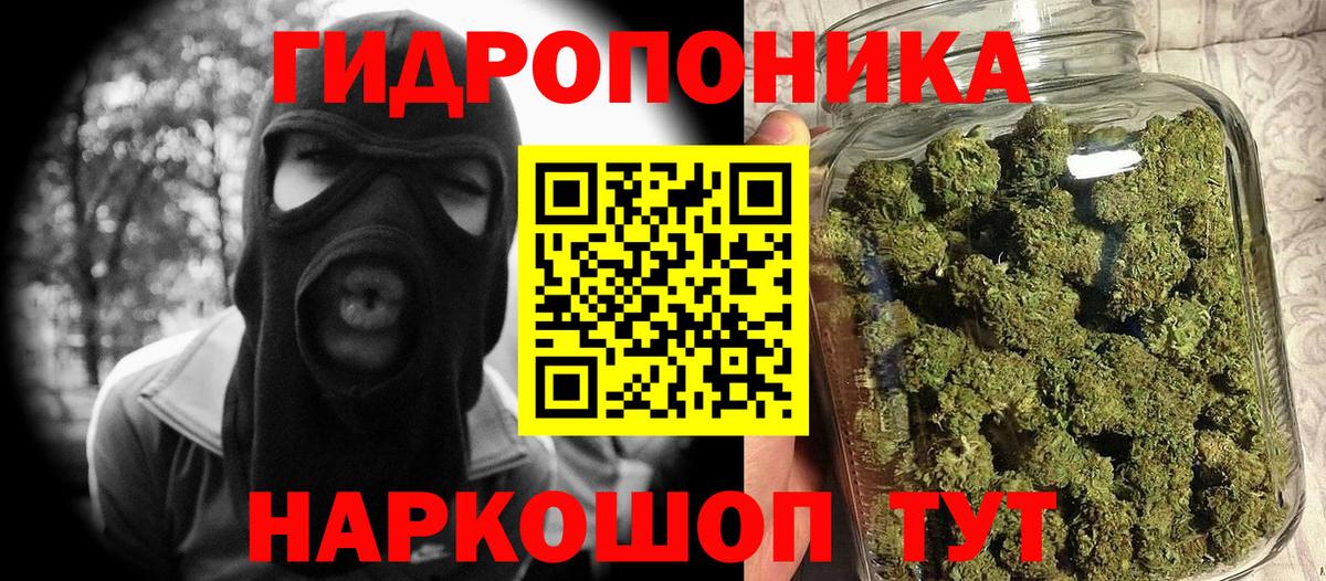 Канабис OG Kush Отрадный